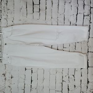 LOFT NWT Hight Waist Boyfriend 12